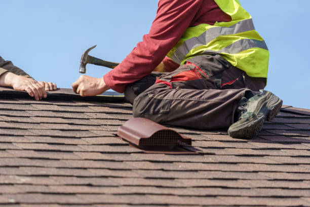 Best Roof Gutter Cleaning  in Hoschton, GA