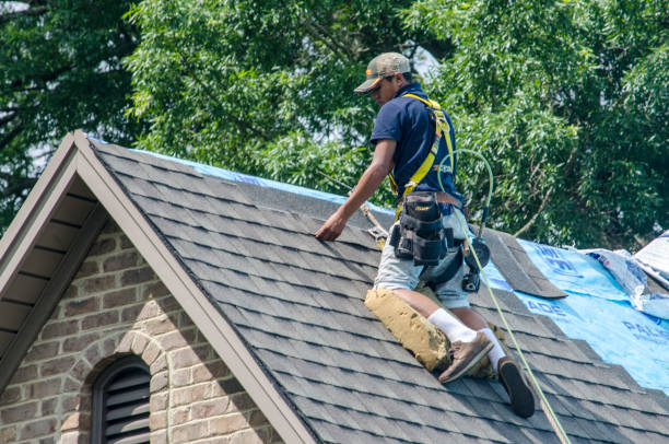 Best New Roof Installation  in Hoschton, GA